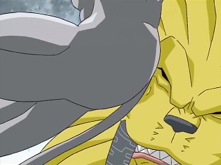 MetalEtemon slamming into SaberLeomon in the face with his butt