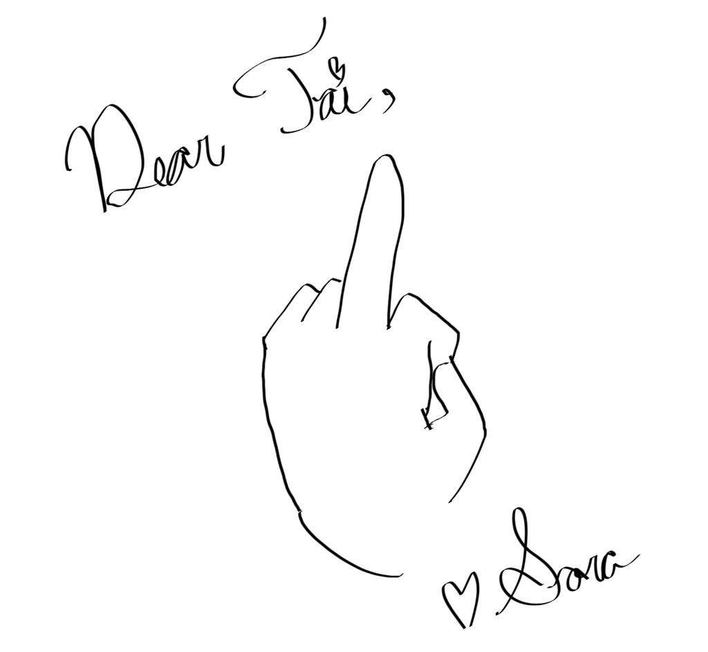 Sora's note to Tai is just, "Dear Tai," a drawing of a hand with a raised middle finger, "Love, Sora"