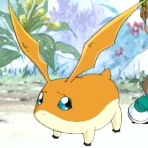 Patamon, an brown and cream-coloured Digimon that resembles a large hamster with thin wings for ears, looking a bit nervous for some reason